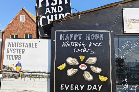 【蜜蜂の巣はなぜ六角形？】シンボル的なあの形には何か意味があるのでしょうか？